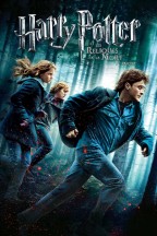 Harry Potter et les Reliques de la mort : 1ère partie en streaming