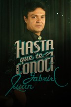 Hasta que te conocí en streaming