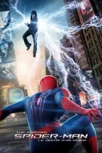 The Amazing Spider-Man : Le Destin d'un héros en streaming