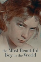 The Most Beautiful Boy in the World en streaming
