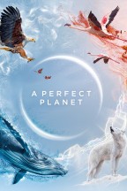 Un planète Parfaite en streaming