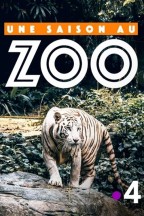 Une saison au zoo en streaming