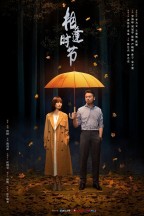 相逢时节 en streaming